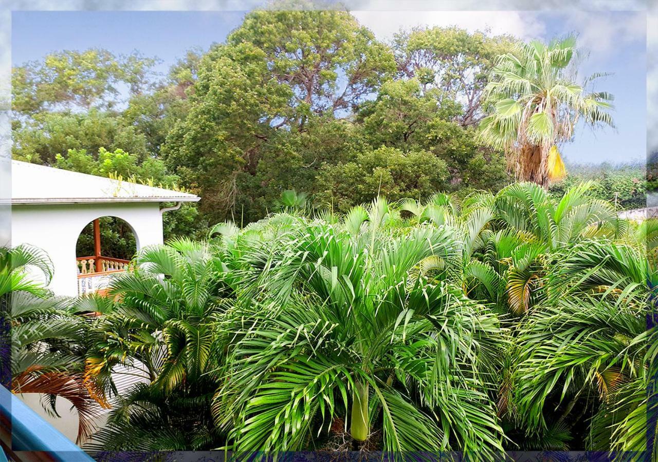Ti Studio Creole Mahogany Sainte-Anne Exterior foto